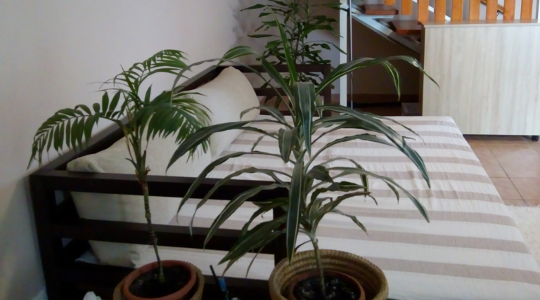 ZAK ülőbútor család - Focus Bútor